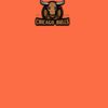 Barnstaple Orange Thumbnail