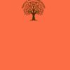 Barnstaple Orange Thumbnail