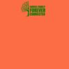 Barnstaple Orange Thumbnail